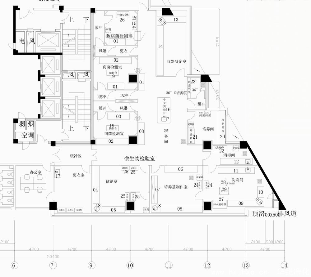 微生物实验室平面图