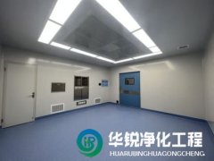 在洁净室的施工中，如何确保施工质量和进度